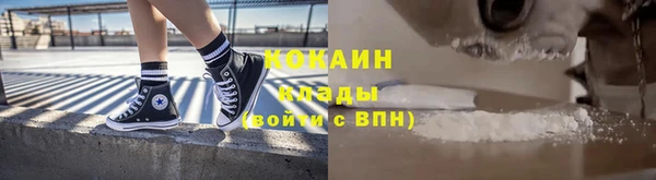 трава Белокуриха