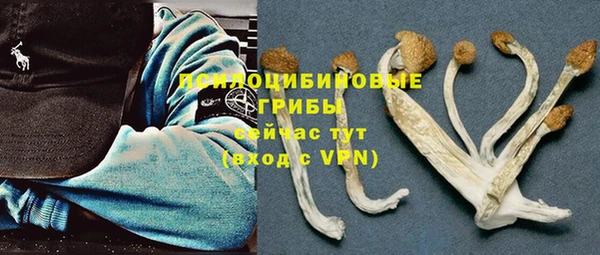 стафф Белоозёрский