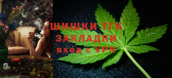 трава Белокуриха