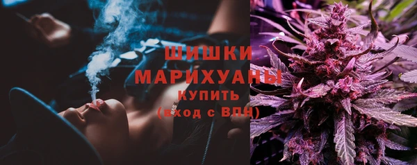 трава Белокуриха