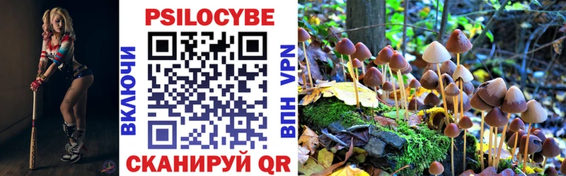 Галлюциногенные грибы мицелий  Кувшиново 